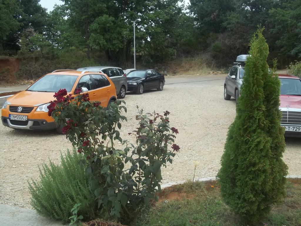 מלון Međugorje Pansion Danijel מראה חיצוני תמונה